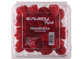 Frambuesa de Exp. (Clamshell 6 onzas)